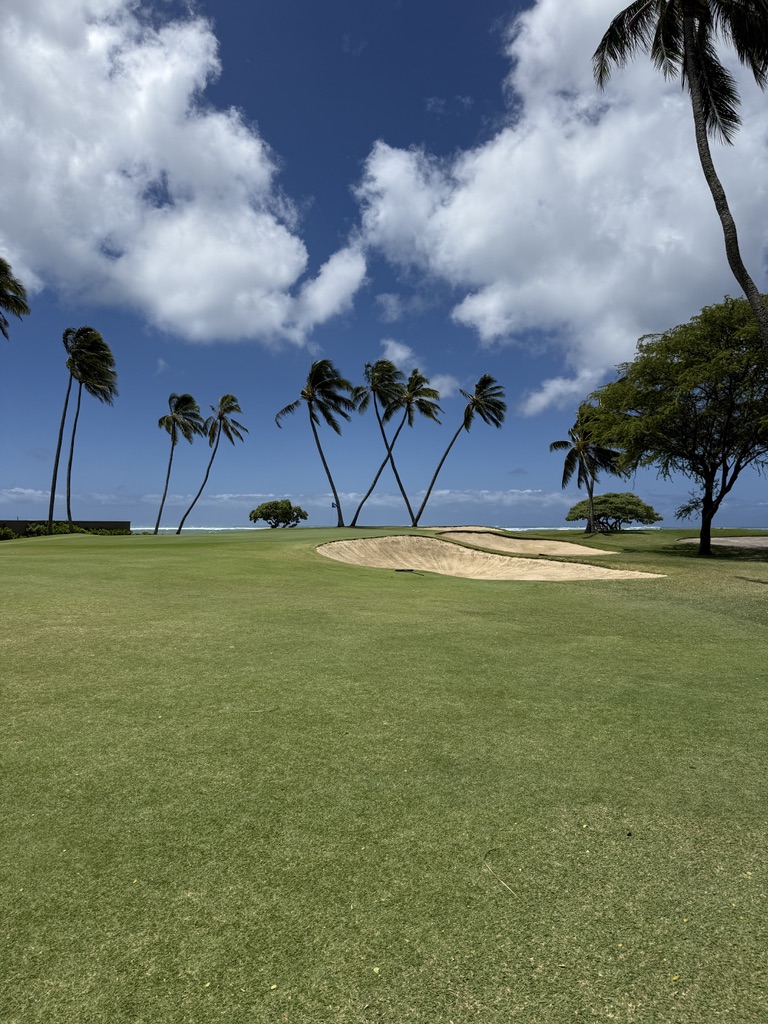 Waialae Country Club - Iconic W palm trees with ocean view and bunker