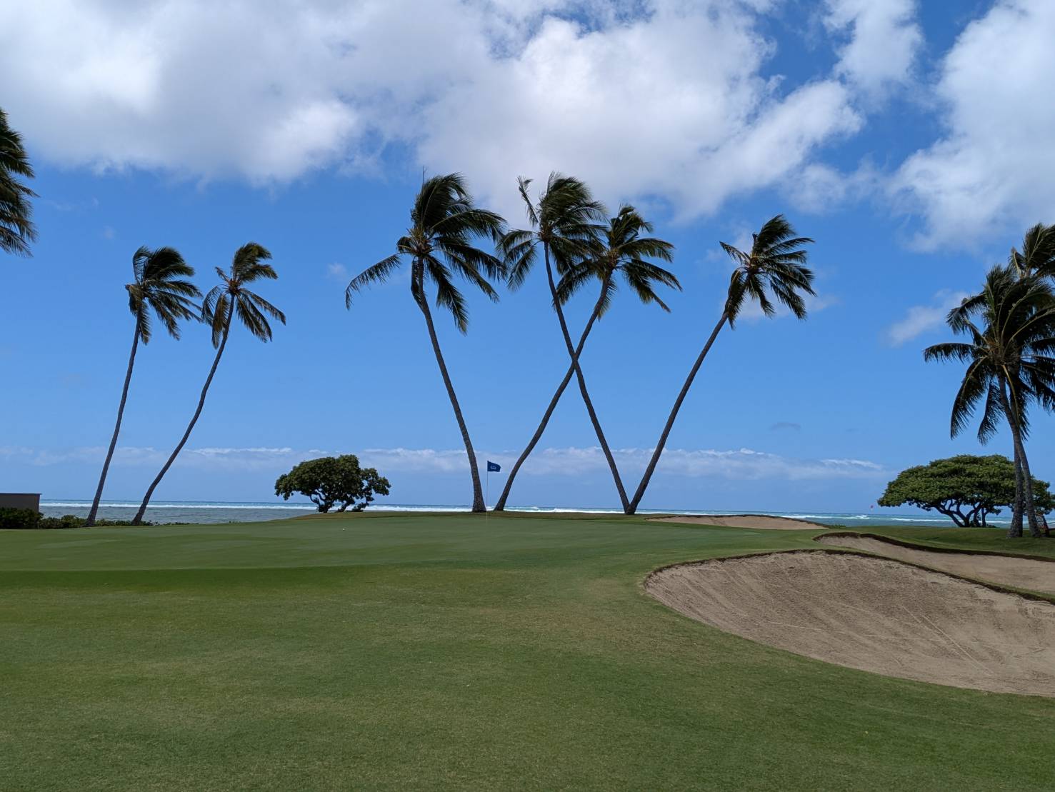 Golf course with palm trees and ocean view in Hawaii