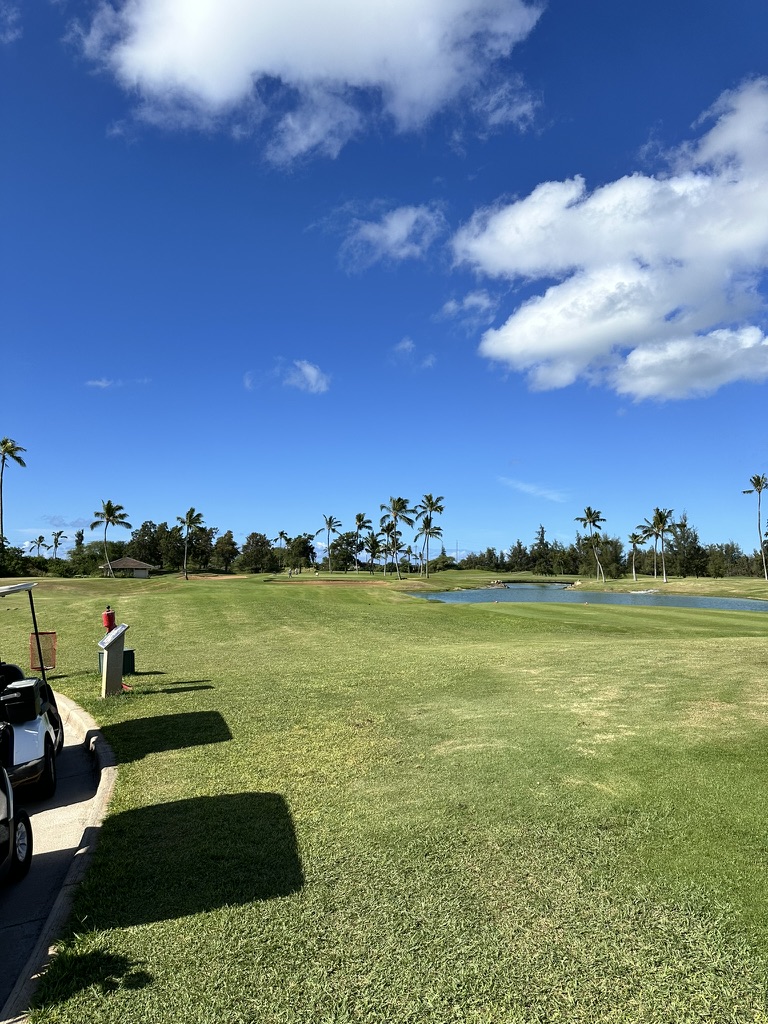 Hawaii Prince Golf Club - fairway with palm trees