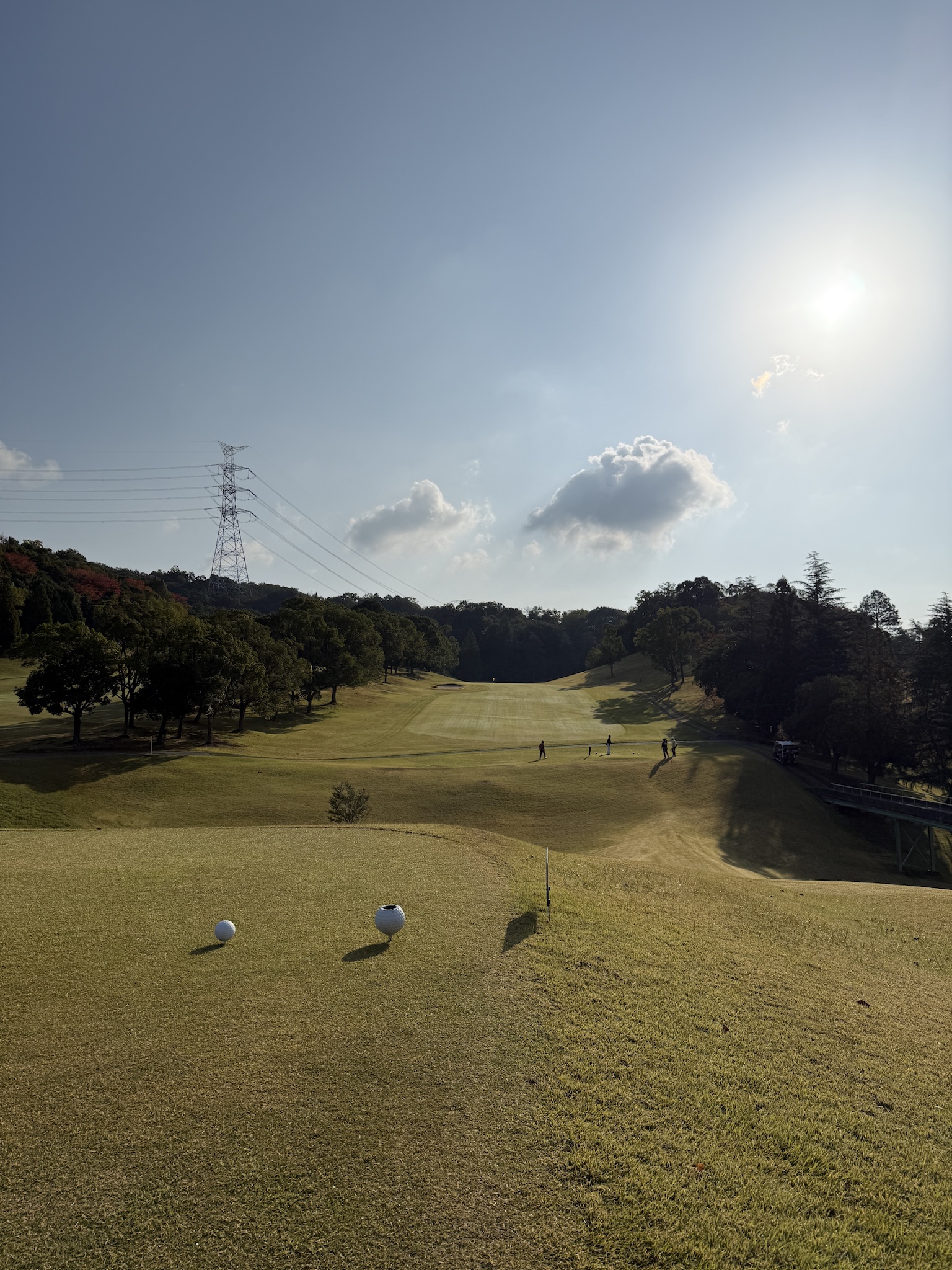 Lake Swan Country Club - fairway in afternoon sun