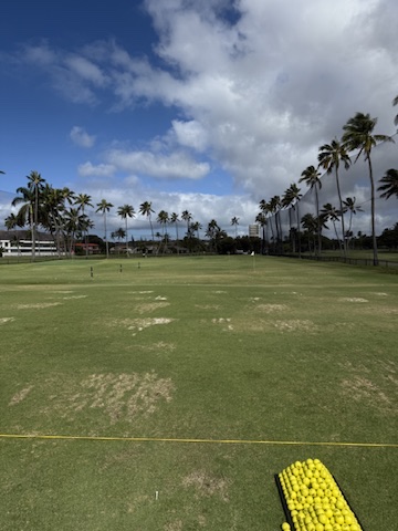 Waialae Country Club - Grass driving range with palm trees
