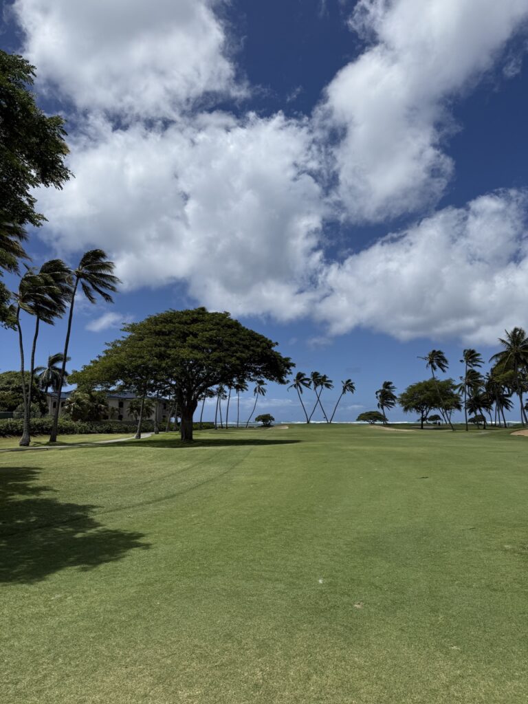Waialae Country Club - Fairway with ocean view and W palm trees
