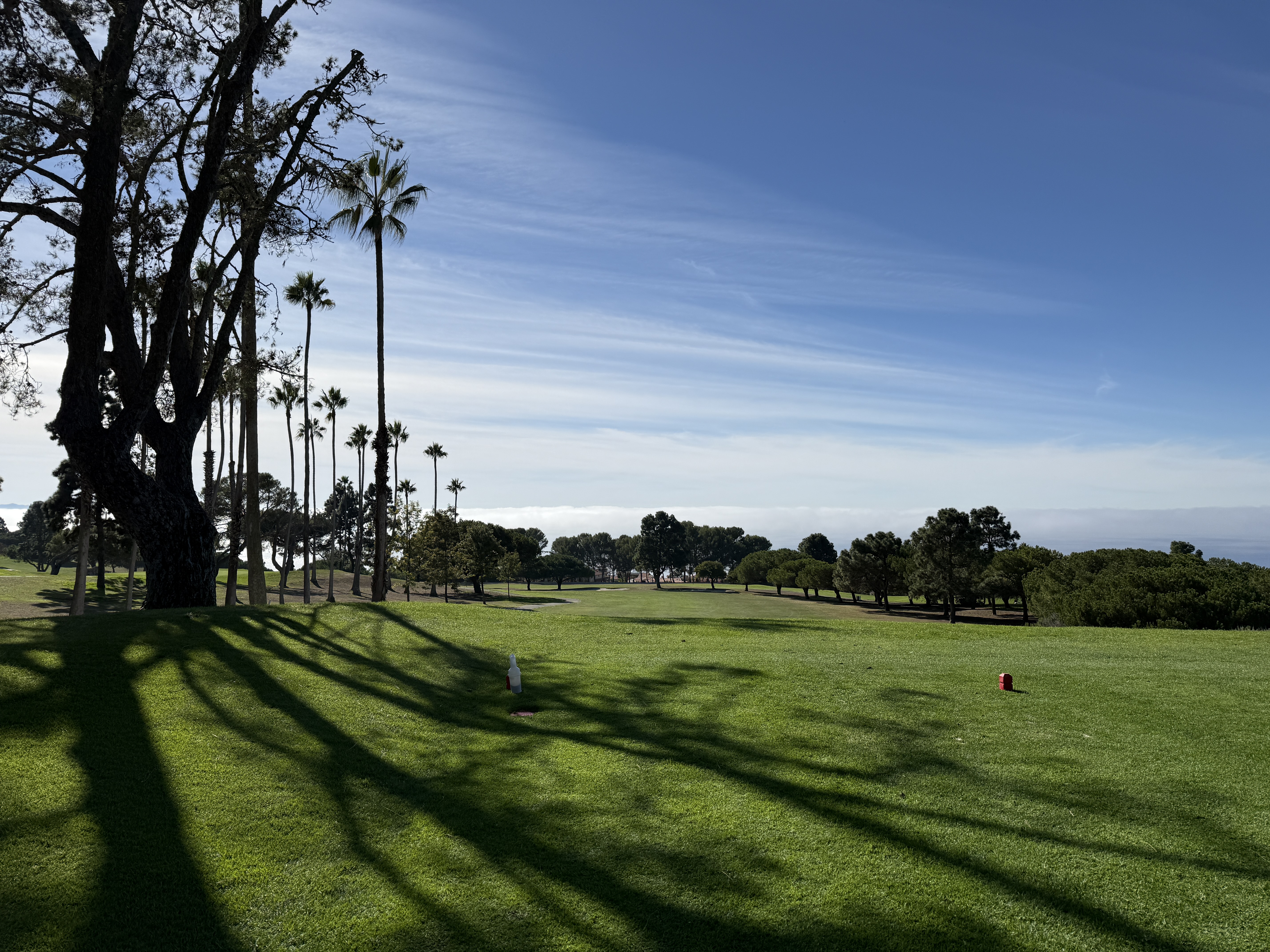 Los Verdes Golf Course fairway with palm tree shadows, Rancho Palos Verdes